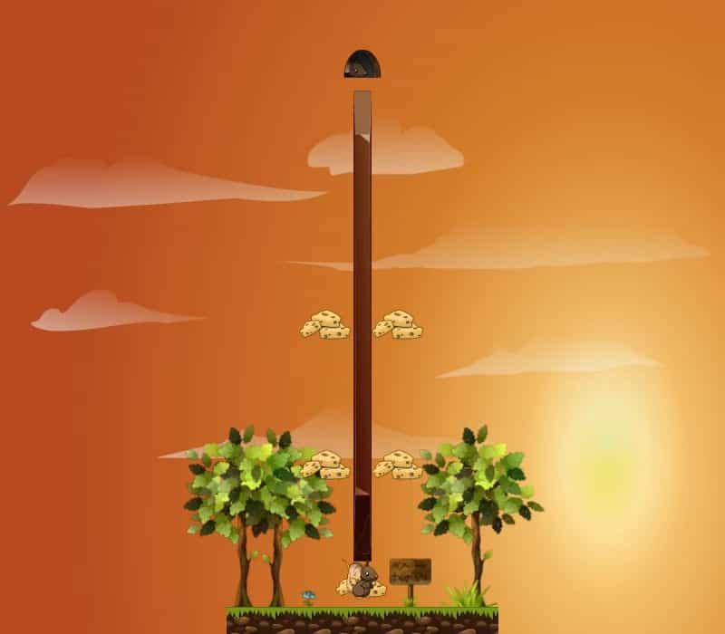 802024