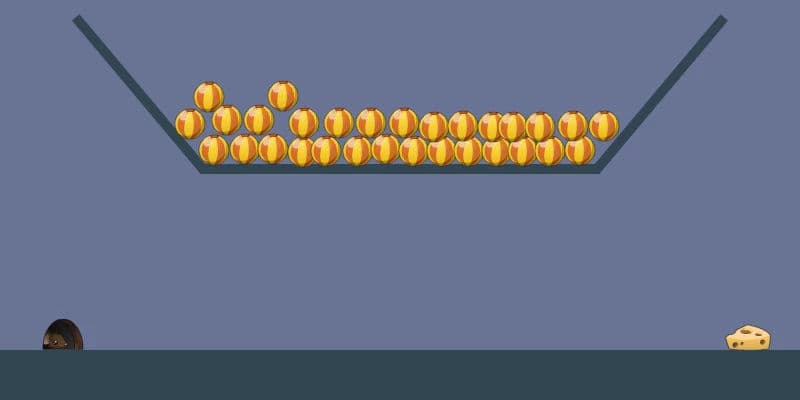 5960204