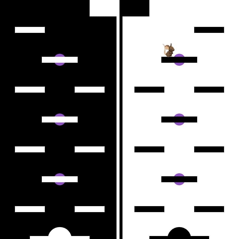 7798817